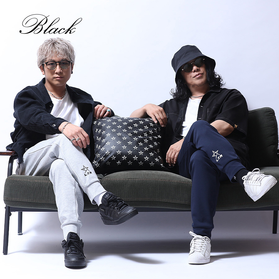 受注期間限定！Apollogicコラボ企画！コラボクッション◇Apollogic